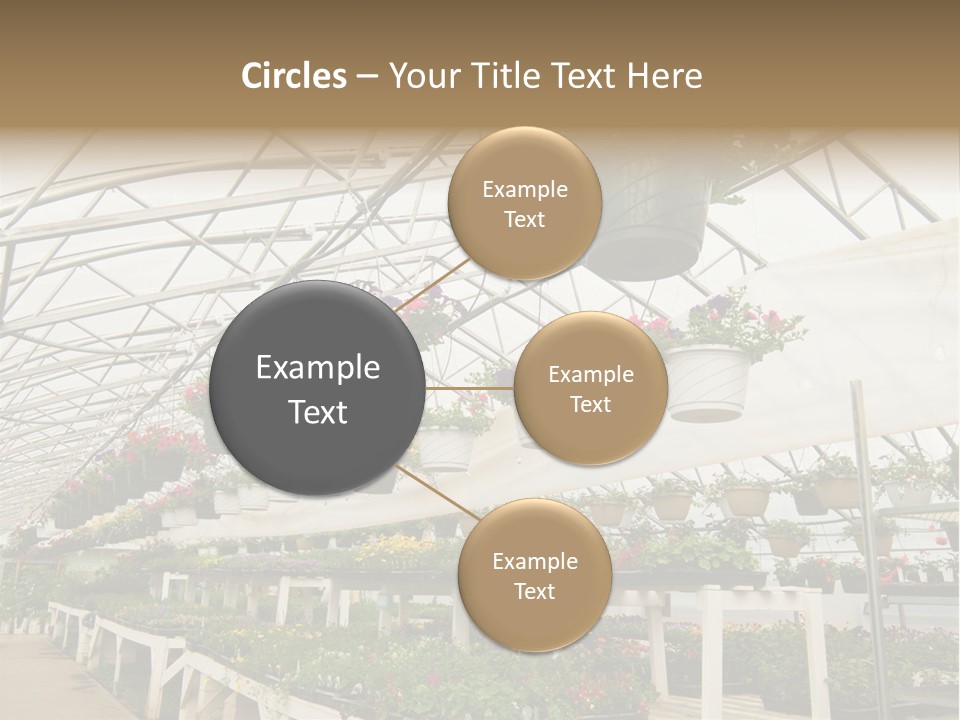 Bedding Cultivation Building PowerPoint Template