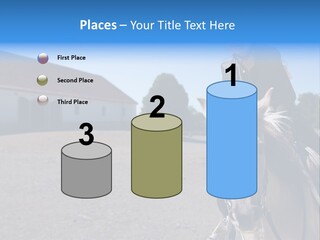 Sport Stallion Kid PowerPoint Template