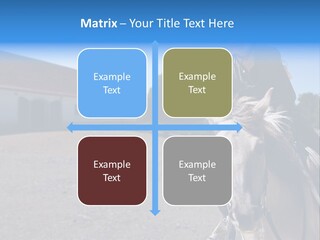 Sport Stallion Kid PowerPoint Template