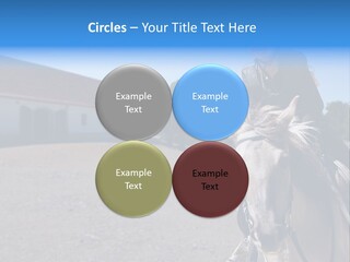 Sport Stallion Kid PowerPoint Template