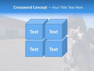 Sport Stallion Kid PowerPoint Template