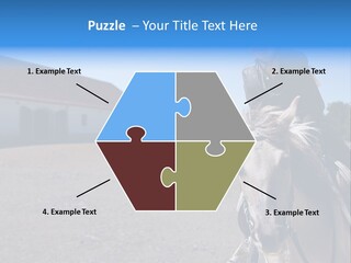 Sport Stallion Kid PowerPoint Template