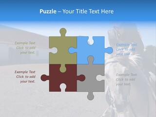 Sport Stallion Kid PowerPoint Template