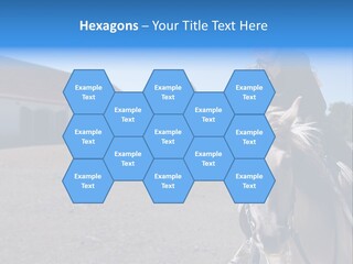 Sport Stallion Kid PowerPoint Template