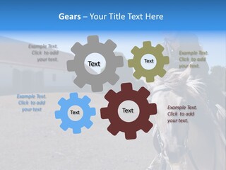 Sport Stallion Kid PowerPoint Template