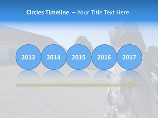 Sport Stallion Kid PowerPoint Template