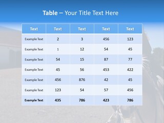 Sport Stallion Kid PowerPoint Template