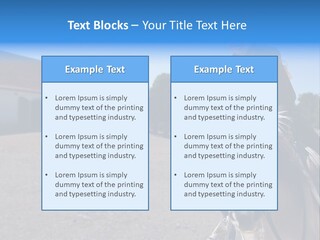 Sport Stallion Kid PowerPoint Template