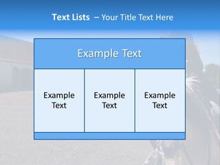 Sport Stallion Kid PowerPoint Template