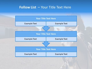 Sport Stallion Kid PowerPoint Template