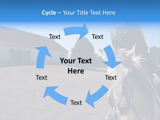 Sport Stallion Kid PowerPoint Template