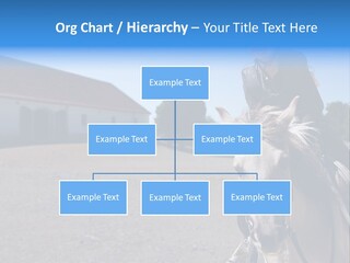 Sport Stallion Kid PowerPoint Template