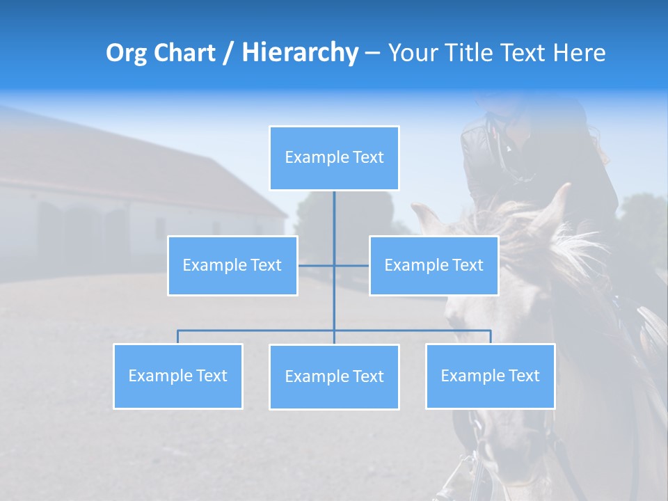 Sport Stallion Kid PowerPoint Template