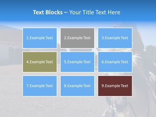 Sport Stallion Kid PowerPoint Template