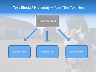 Sport Stallion Kid PowerPoint Template