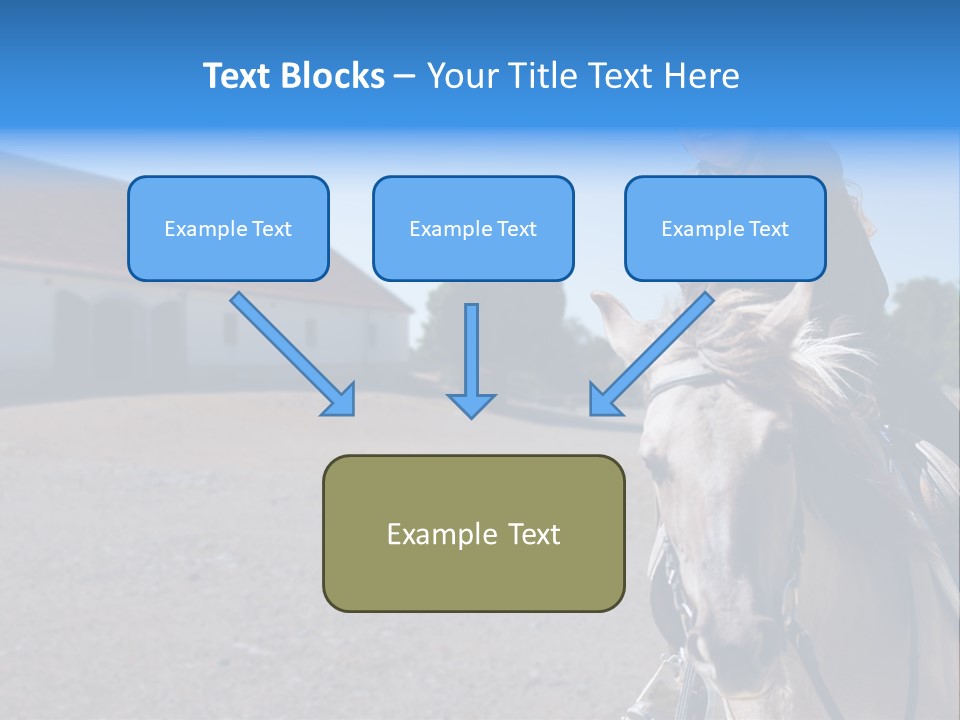 Sport Stallion Kid PowerPoint Template
