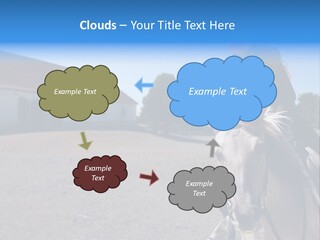 Sport Stallion Kid PowerPoint Template