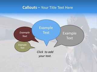 Sport Stallion Kid PowerPoint Template