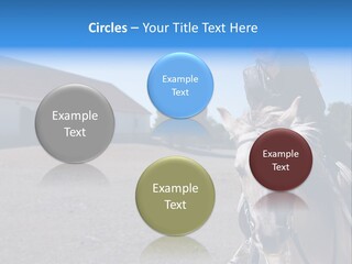 Sport Stallion Kid PowerPoint Template