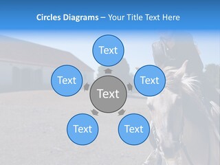 Sport Stallion Kid PowerPoint Template