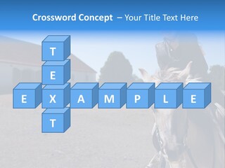 Sport Stallion Kid PowerPoint Template