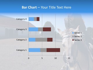 Sport Stallion Kid PowerPoint Template