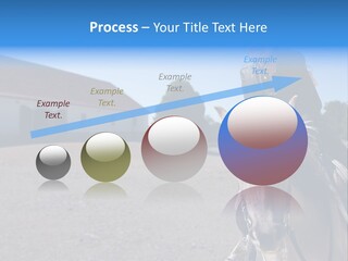 Sport Stallion Kid PowerPoint Template