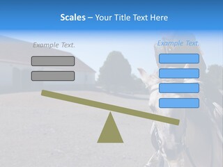 Sport Stallion Kid PowerPoint Template