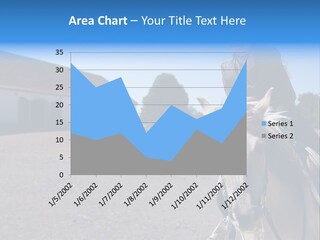 Sport Stallion Kid PowerPoint Template