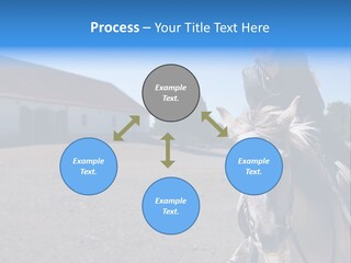 Sport Stallion Kid PowerPoint Template