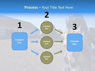 Sport Stallion Kid PowerPoint Template