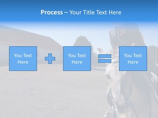 Sport Stallion Kid PowerPoint Template