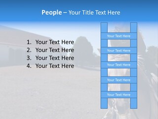 Sport Stallion Kid PowerPoint Template