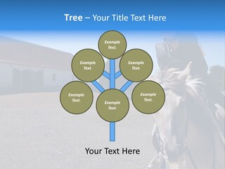 Sport Stallion Kid PowerPoint Template