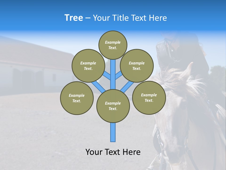 Sport Stallion Kid PowerPoint Template