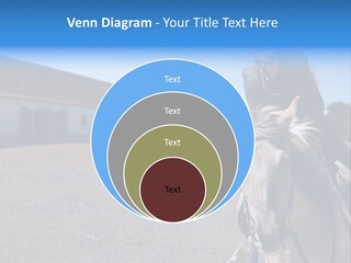 Sport Stallion Kid PowerPoint Template