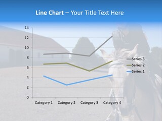 Sport Stallion Kid PowerPoint Template