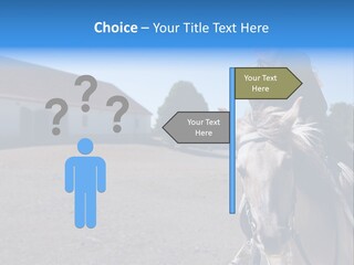 Sport Stallion Kid PowerPoint Template