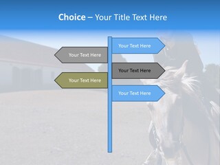 Sport Stallion Kid PowerPoint Template