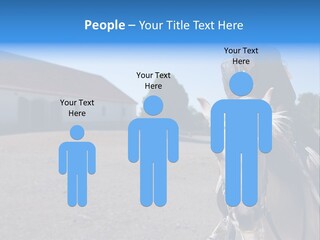 Sport Stallion Kid PowerPoint Template