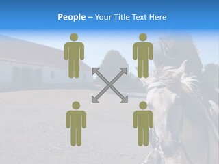 Sport Stallion Kid PowerPoint Template