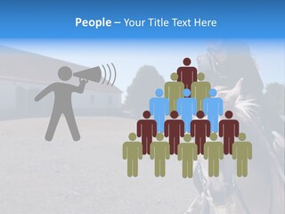 Sport Stallion Kid PowerPoint Template