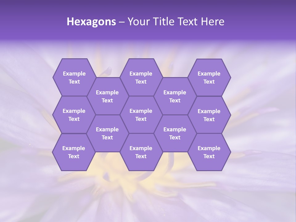 Tropical Green Elegance PowerPoint Template