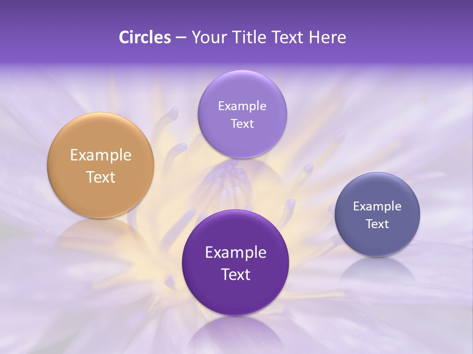 Tropical Green Elegance PowerPoint Template