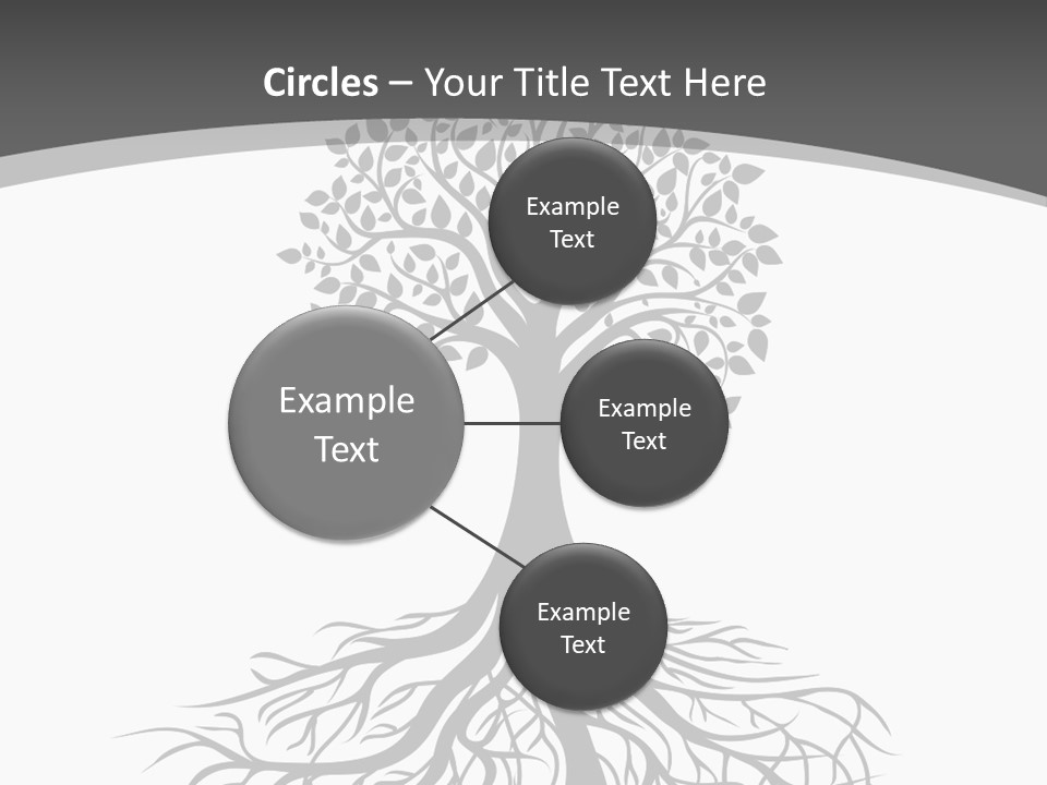 A Tree With Roots On A White Background PowerPoint Template