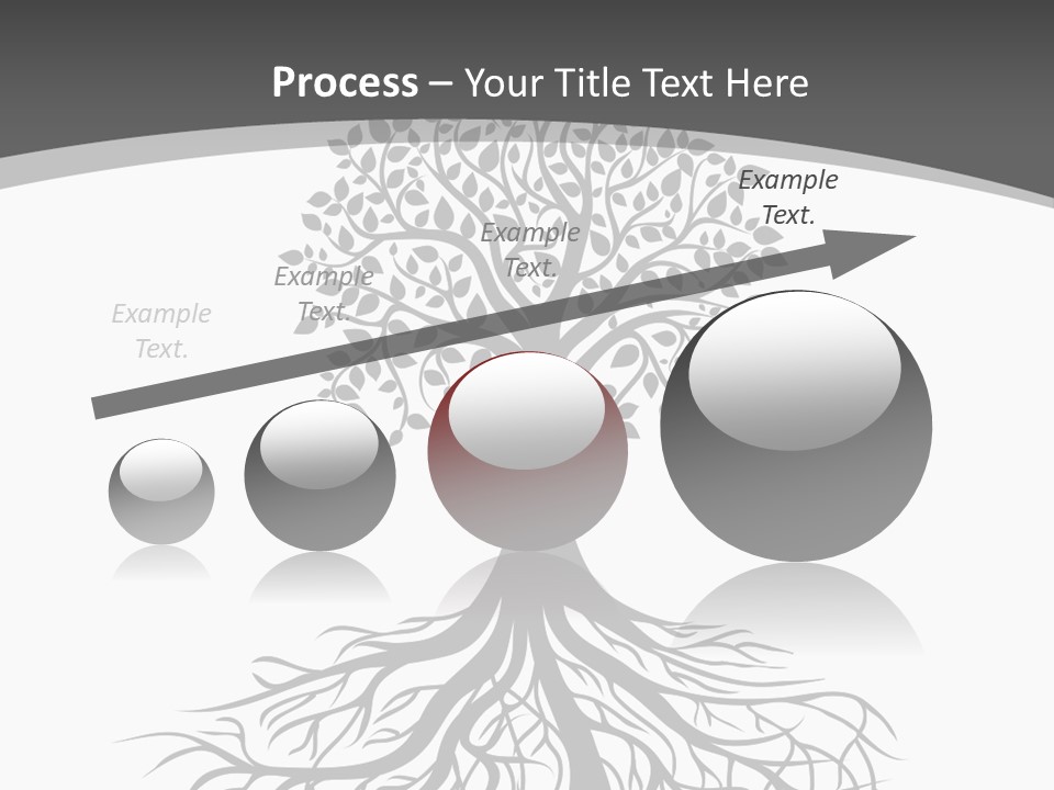 A Tree With Roots On A White Background PowerPoint Template