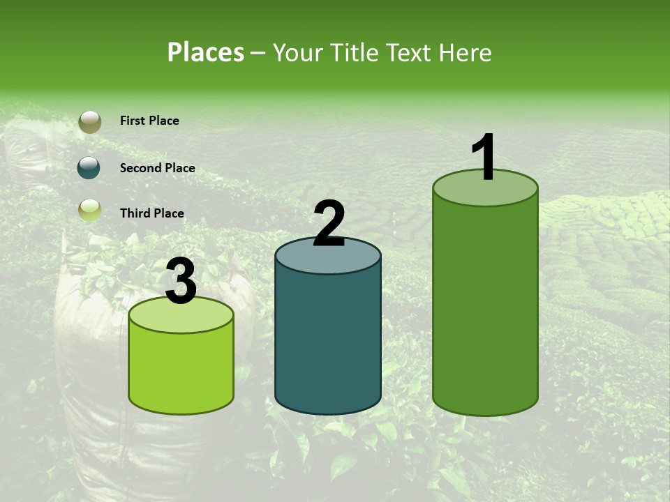 Farmland Japan Landscape PowerPoint Template