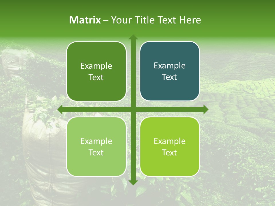 Farmland Japan Landscape PowerPoint Template