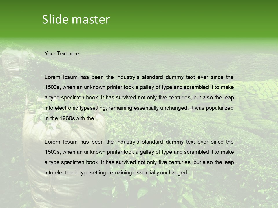 Farmland Japan Landscape PowerPoint Template