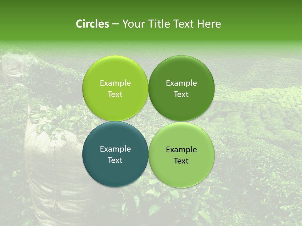 Farmland Japan Landscape PowerPoint Template